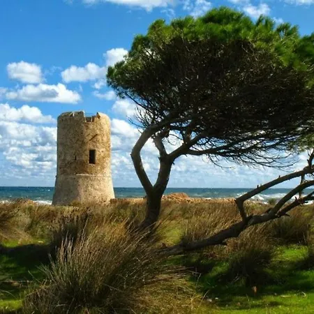 Apartment Breathtaking Seaview In Porto Torres