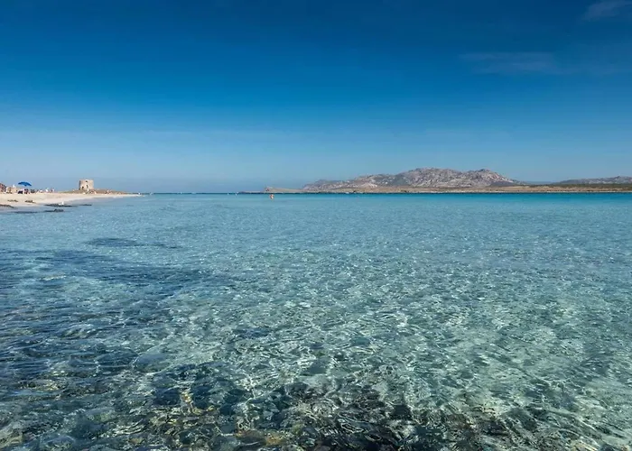 Breathtaking Seaview Flat In Sardinia Daire *